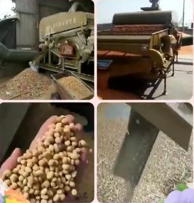 金科糧食精選機(jī)使用效果現(xiàn)場視頻